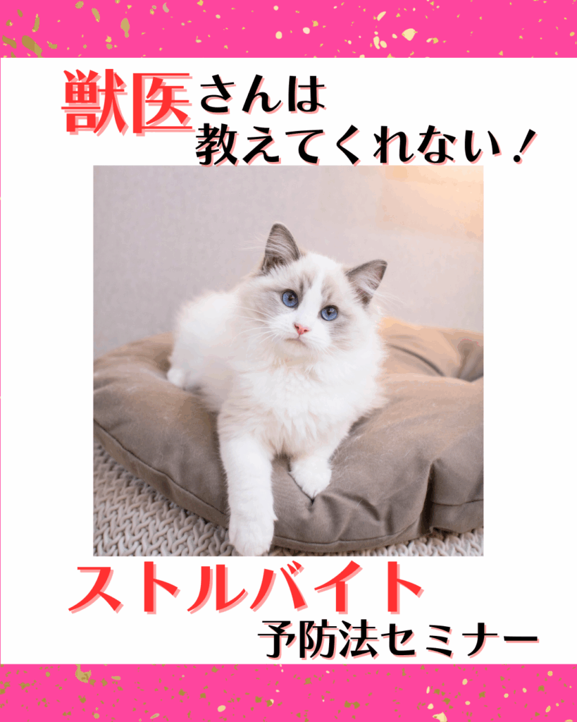獣医さんは教えてくれない！⁡ストルバイト予防法1dayセミナー