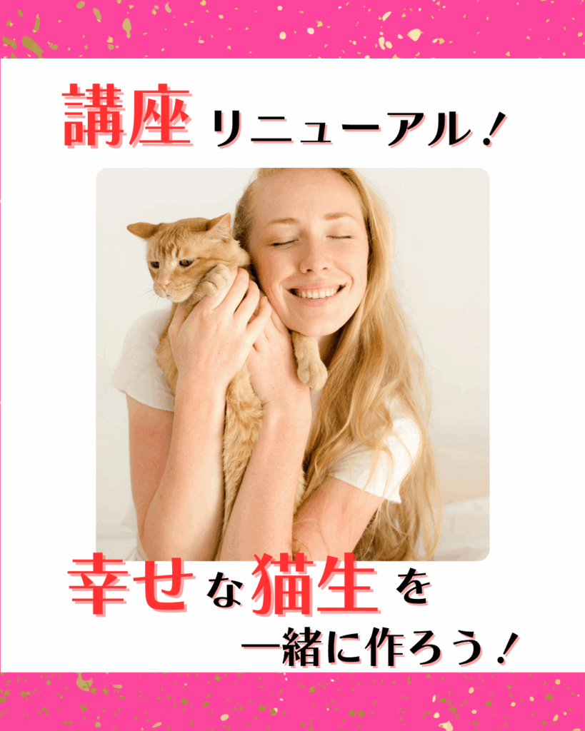 講座リニューアル！幸せな猫生を一緒に作ろう！