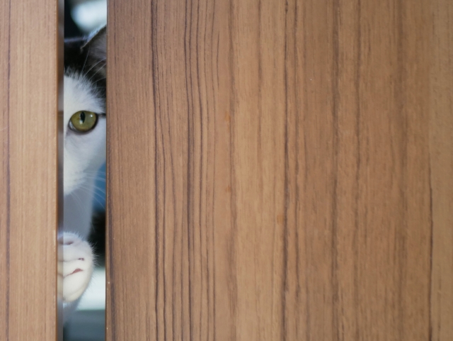 探偵の日常シリーズ