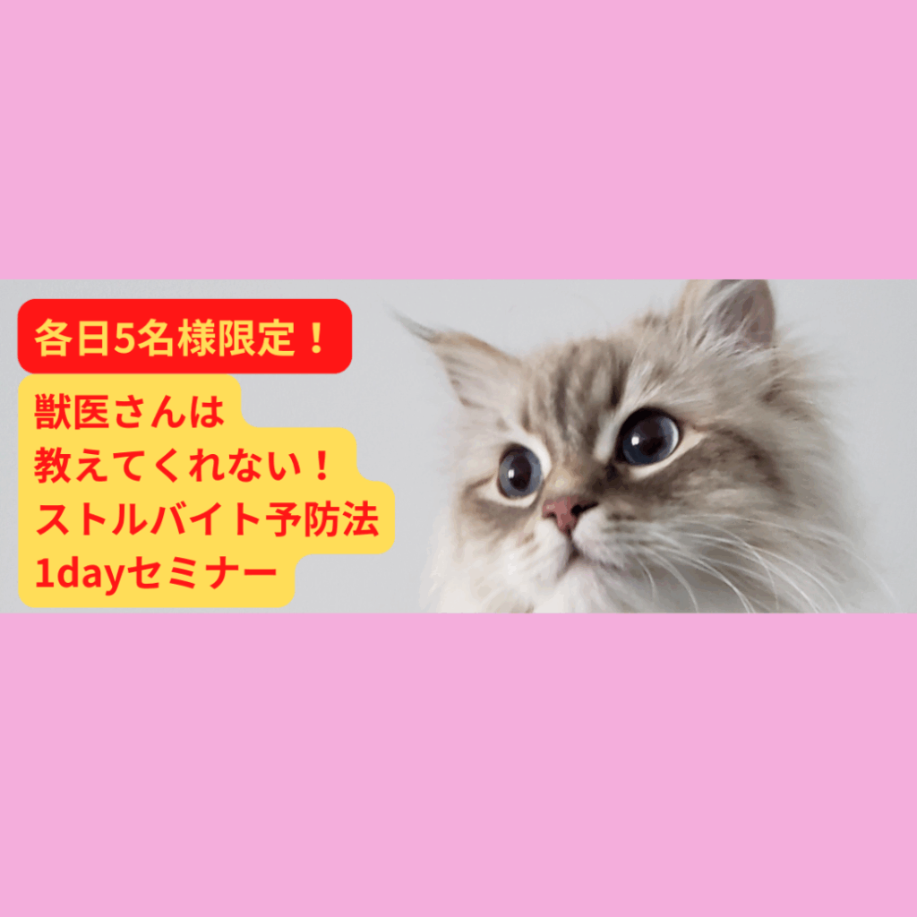 獣医さんもご受講⁡！ ストルバイト予防法セミナー⁡ 今月も開催決定👐