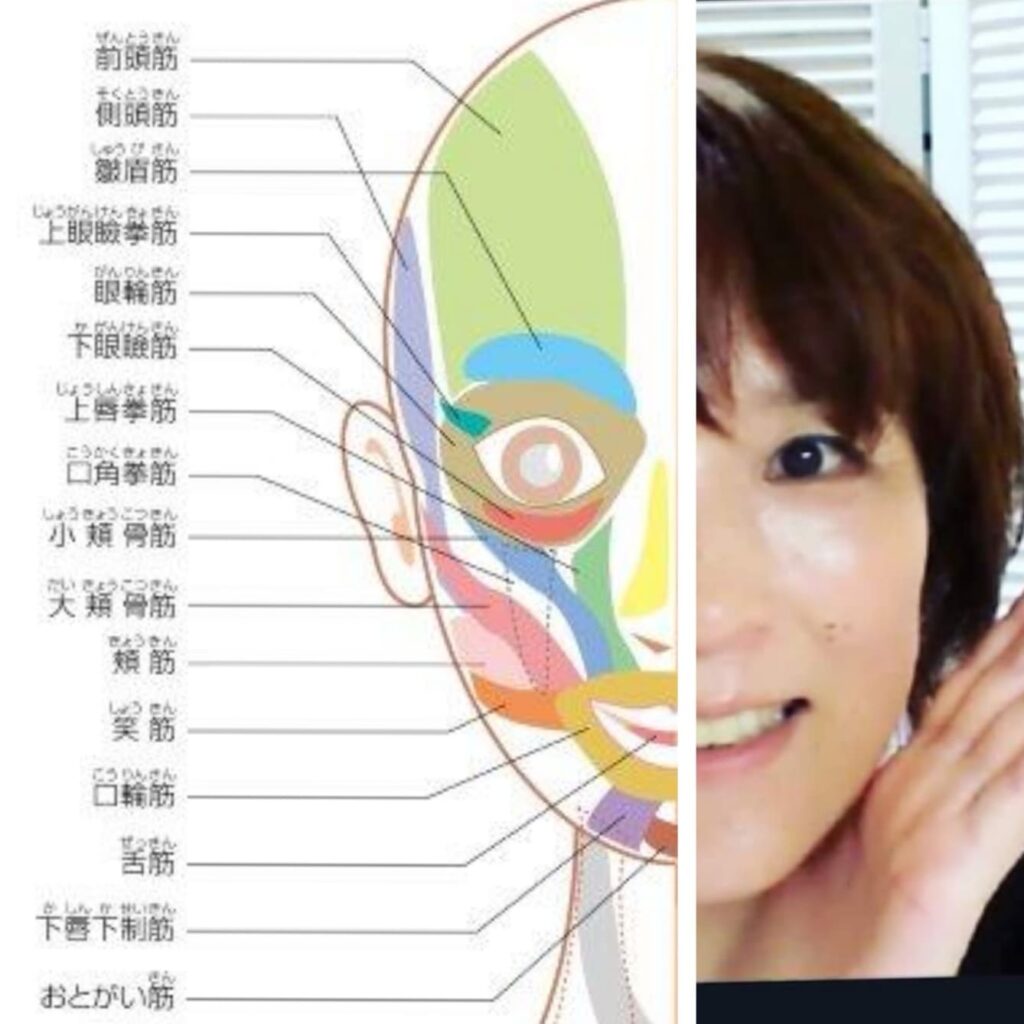 はじめまして！