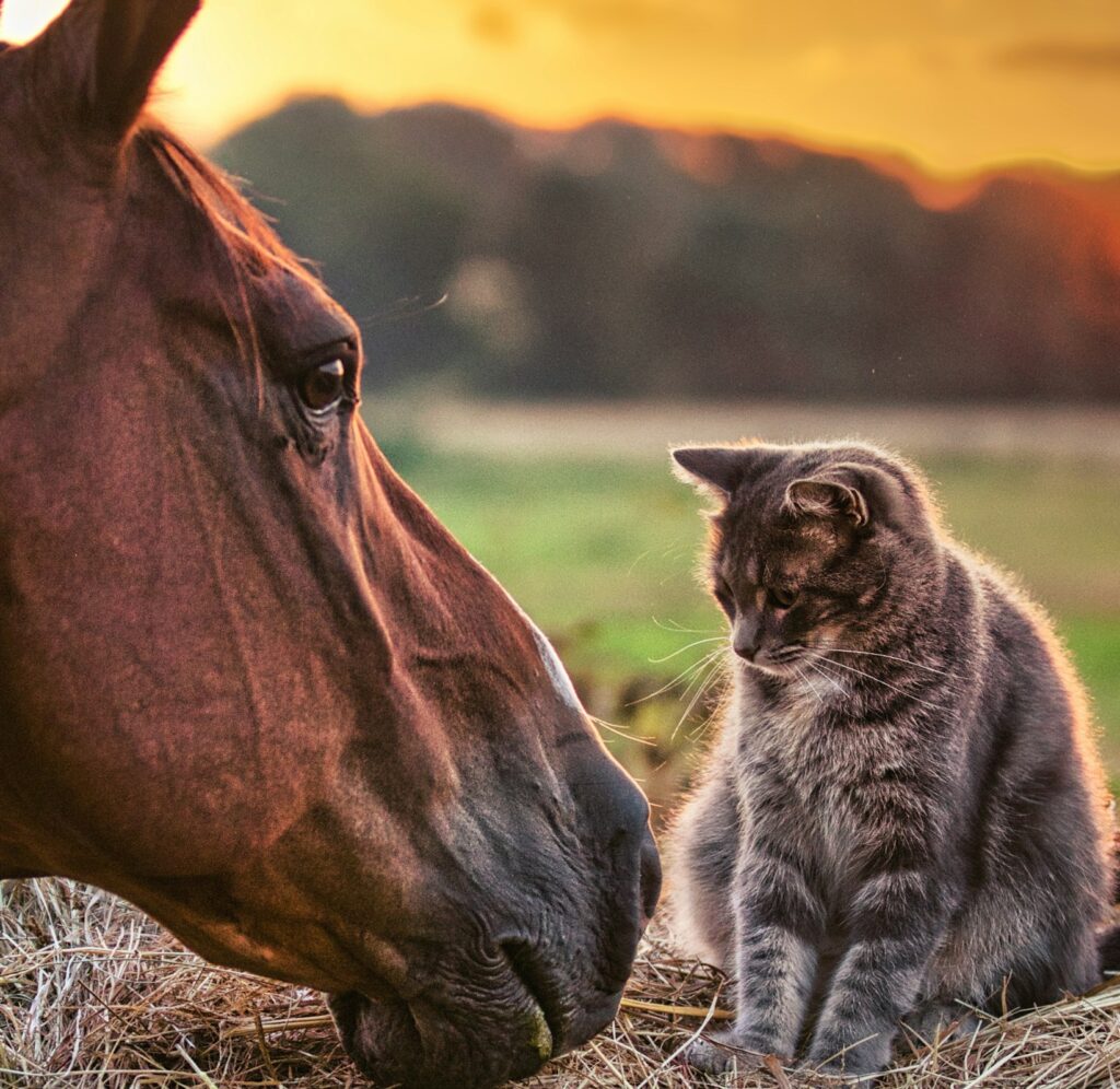 2026年もよろしくお願いいたします！