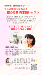 http://その常識、都市伝説かも…！？%20猫の行動%20新常識レッスン開催🐱