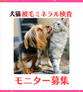 http://第3回%20ミネラル被毛検査%20　モニター募集のお知らせ
