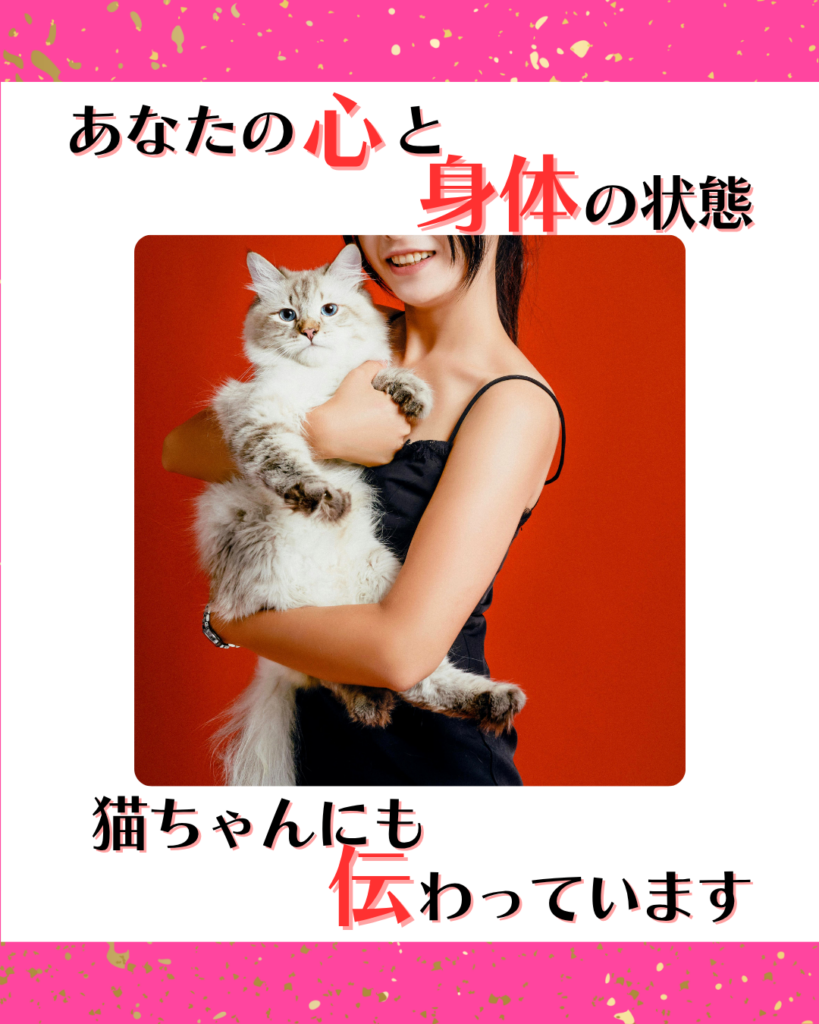 あなたの心と身体の状態、猫ちゃんにも伝わっています