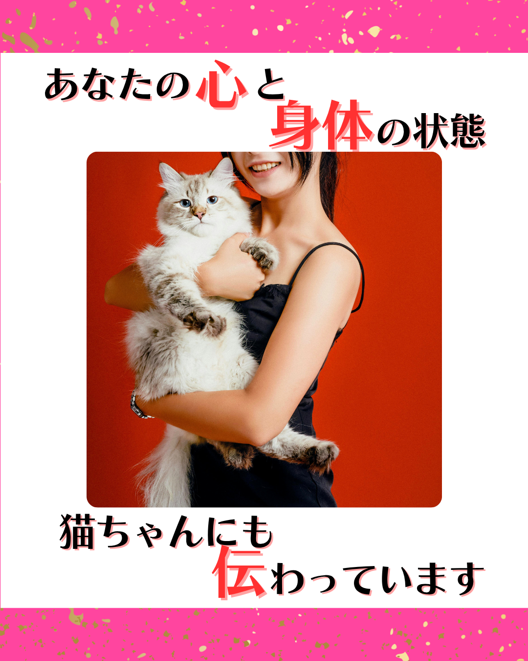 あなたの心と身体の状態、猫ちゃんにも伝わっています