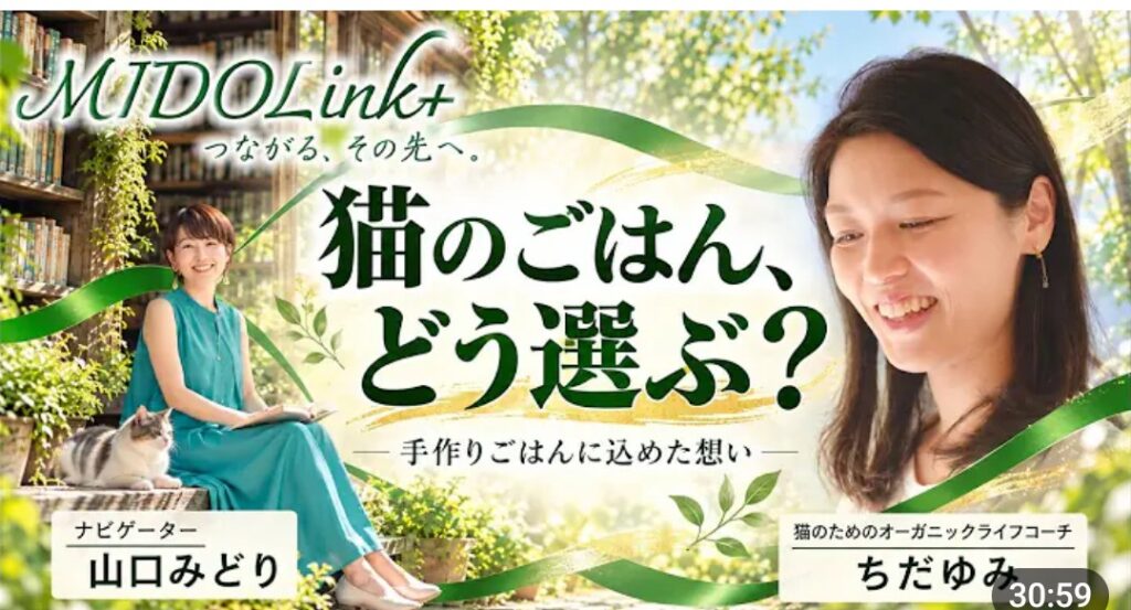 ライブしました！ & 1day勉強会の情報解禁！